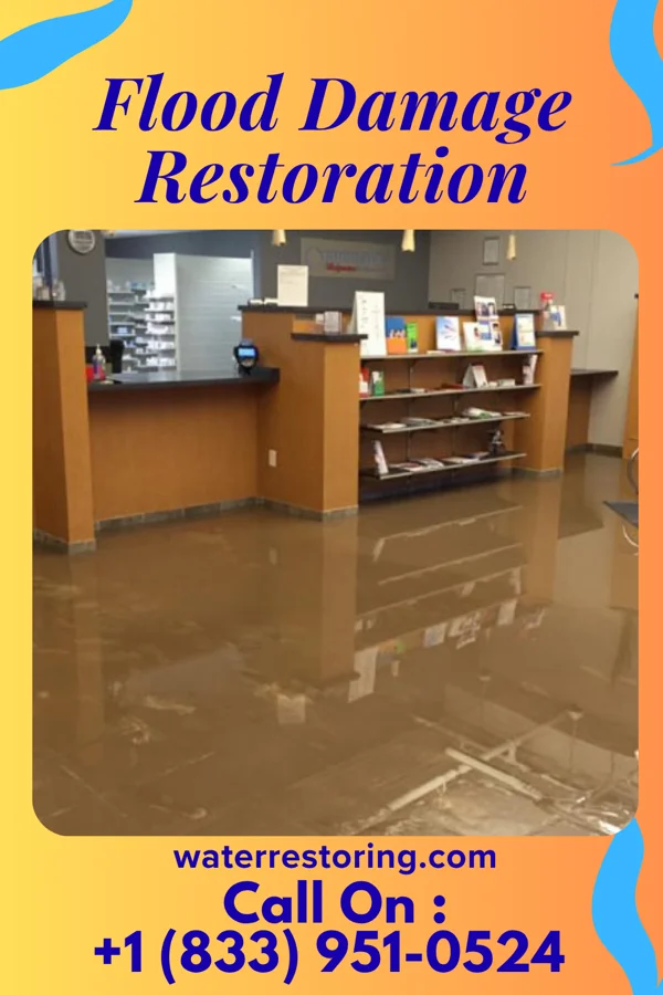 Flood Damage Restoration in Pryorsburg, KY