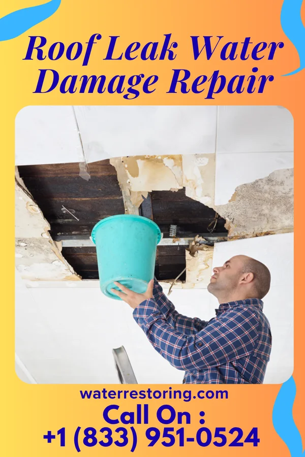 Roof Leak Water Damage Repair in Pryorsburg, KY