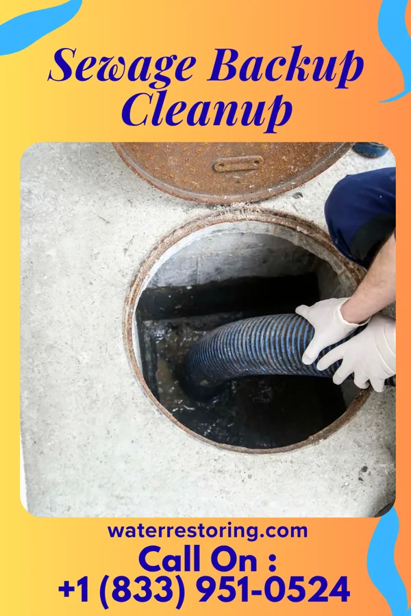 Sewage Backup Cleanup in Pryorsburg, KY
