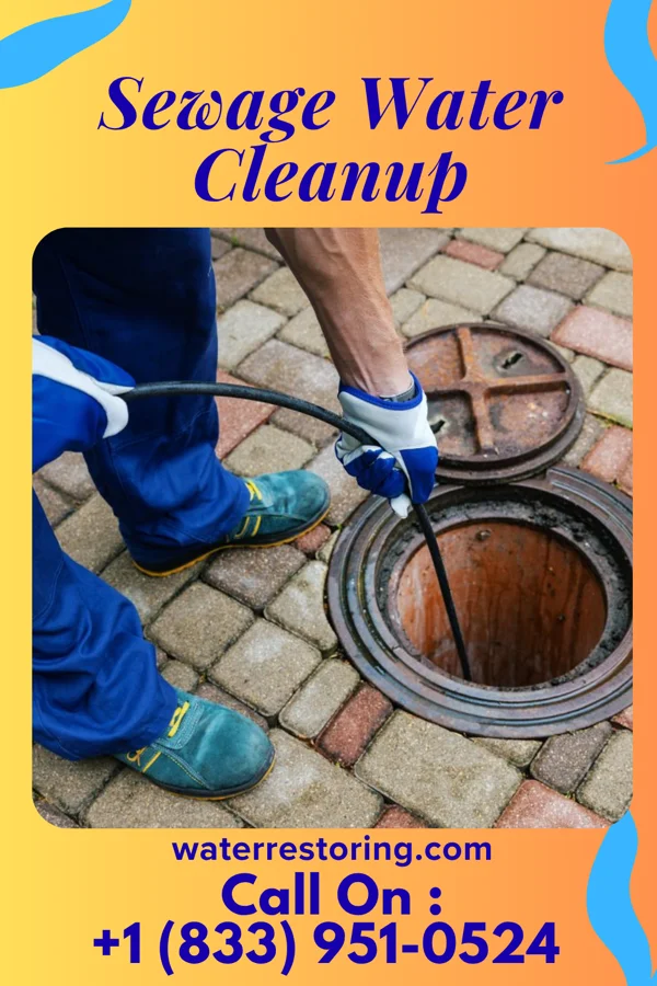 Sewage Water Cleanup in Pryorsburg, KY