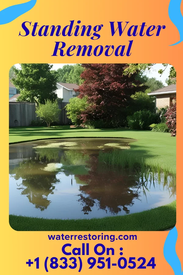 Standing Water Removal in Pryorsburg, KY